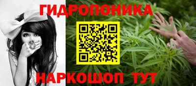 меф Кингисепп